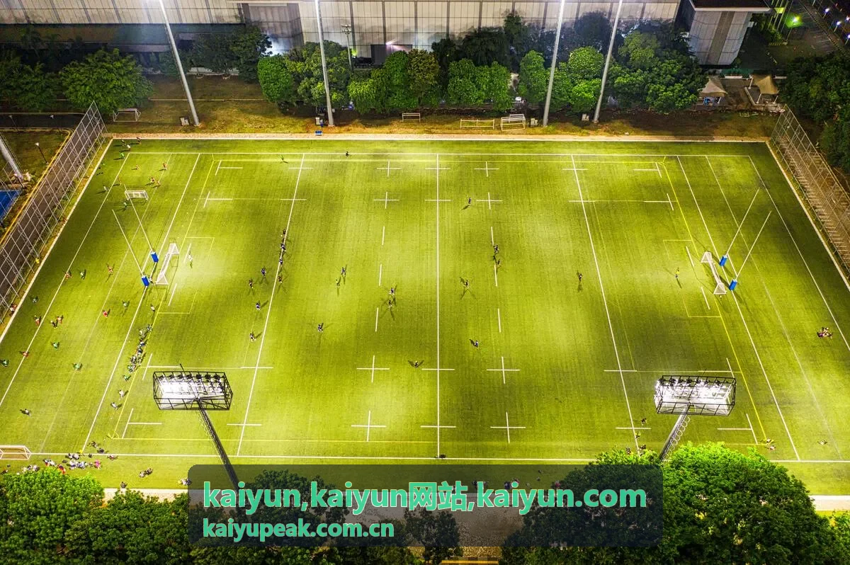 kaiyun.com 信息架构说明封面