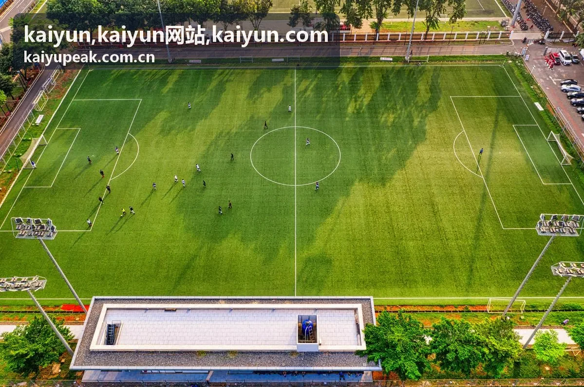 Kaiyun网站服务亮点展示封面